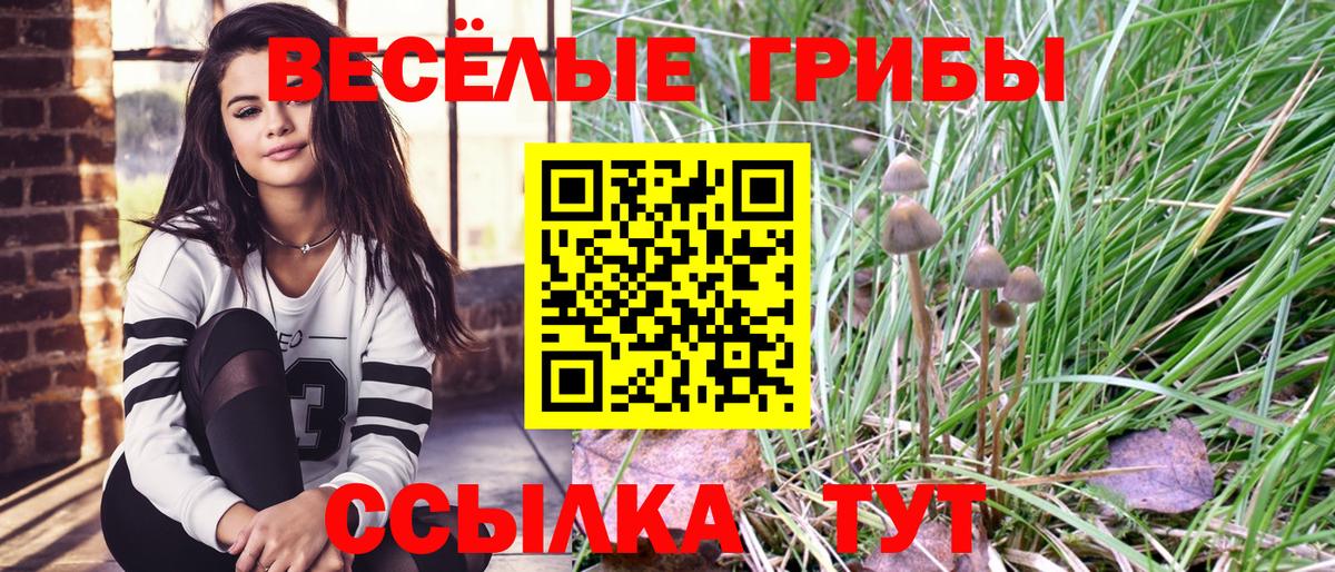 Галлюциногенные грибы Magic Shrooms Бахчисарай