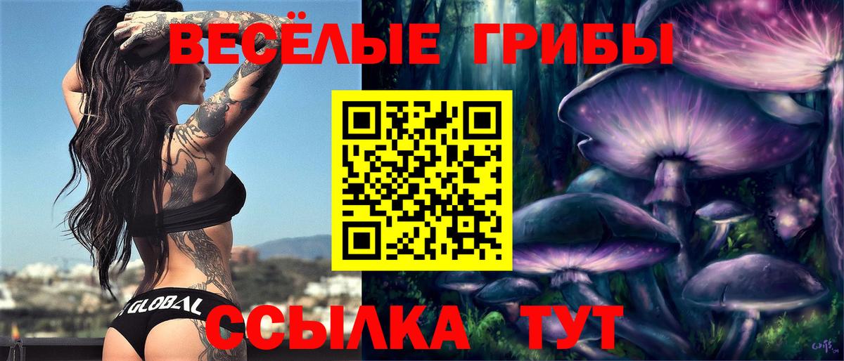 Псилоцибиновые грибы Magic Shrooms  Вход с VPN  Бахчисарай  Галлюциногенные грибы Psilocybe 